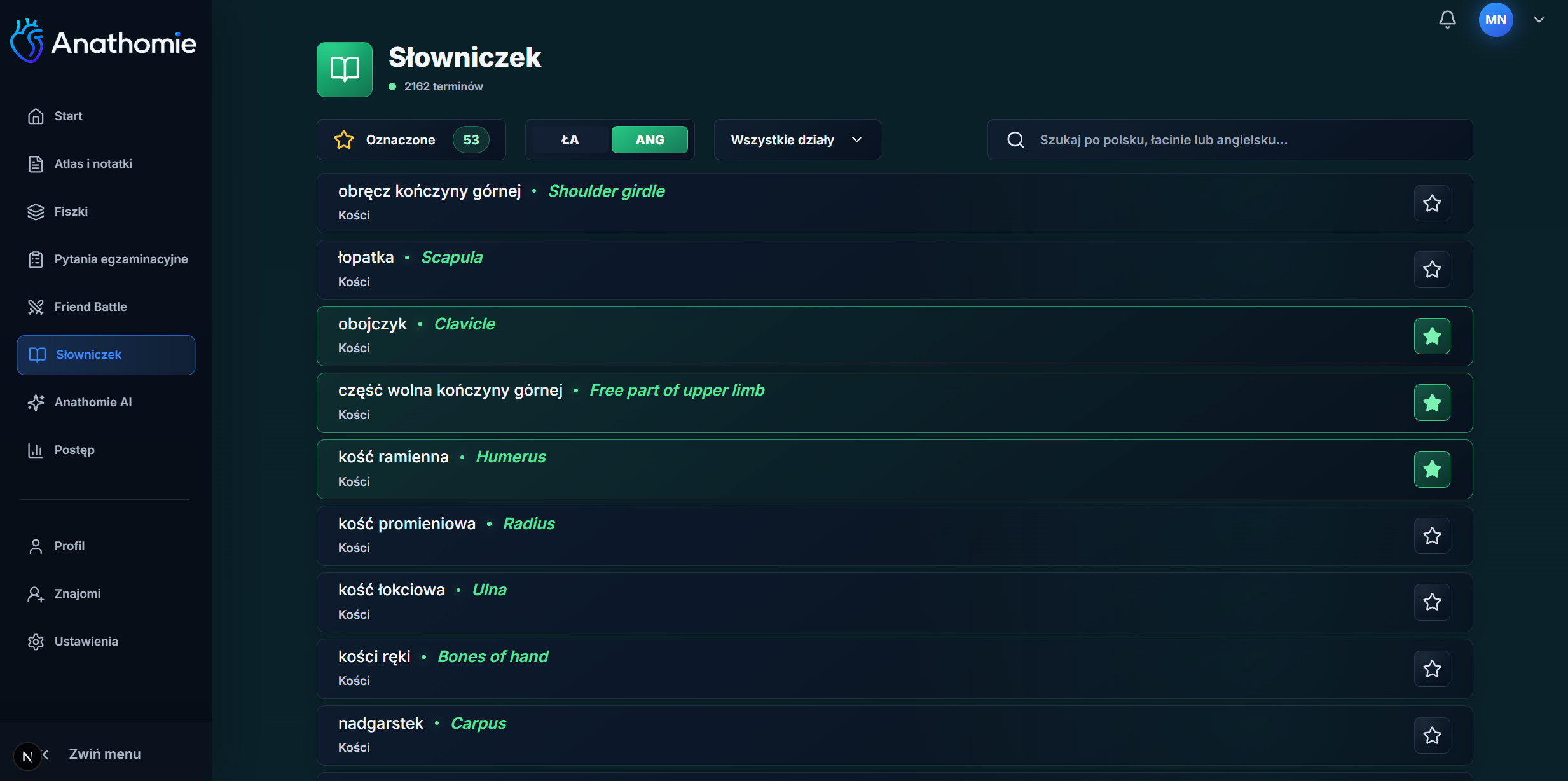 Słowniczek anatomiczny w Anathomie